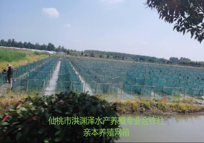 首页 - CQ9电子官方网站