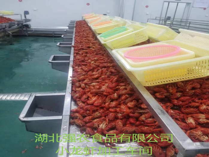 首页 - CQ9电子官方网站