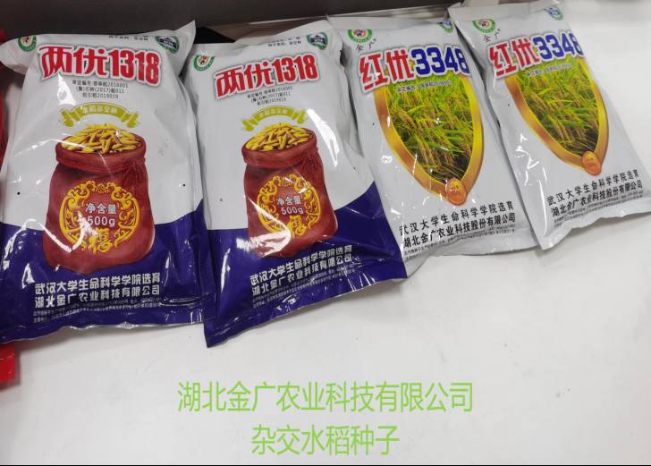 首页 - CQ9电子官方网站