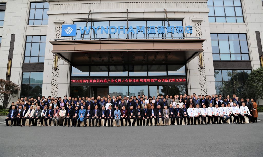 千赢国际·(中国)有限公司官网